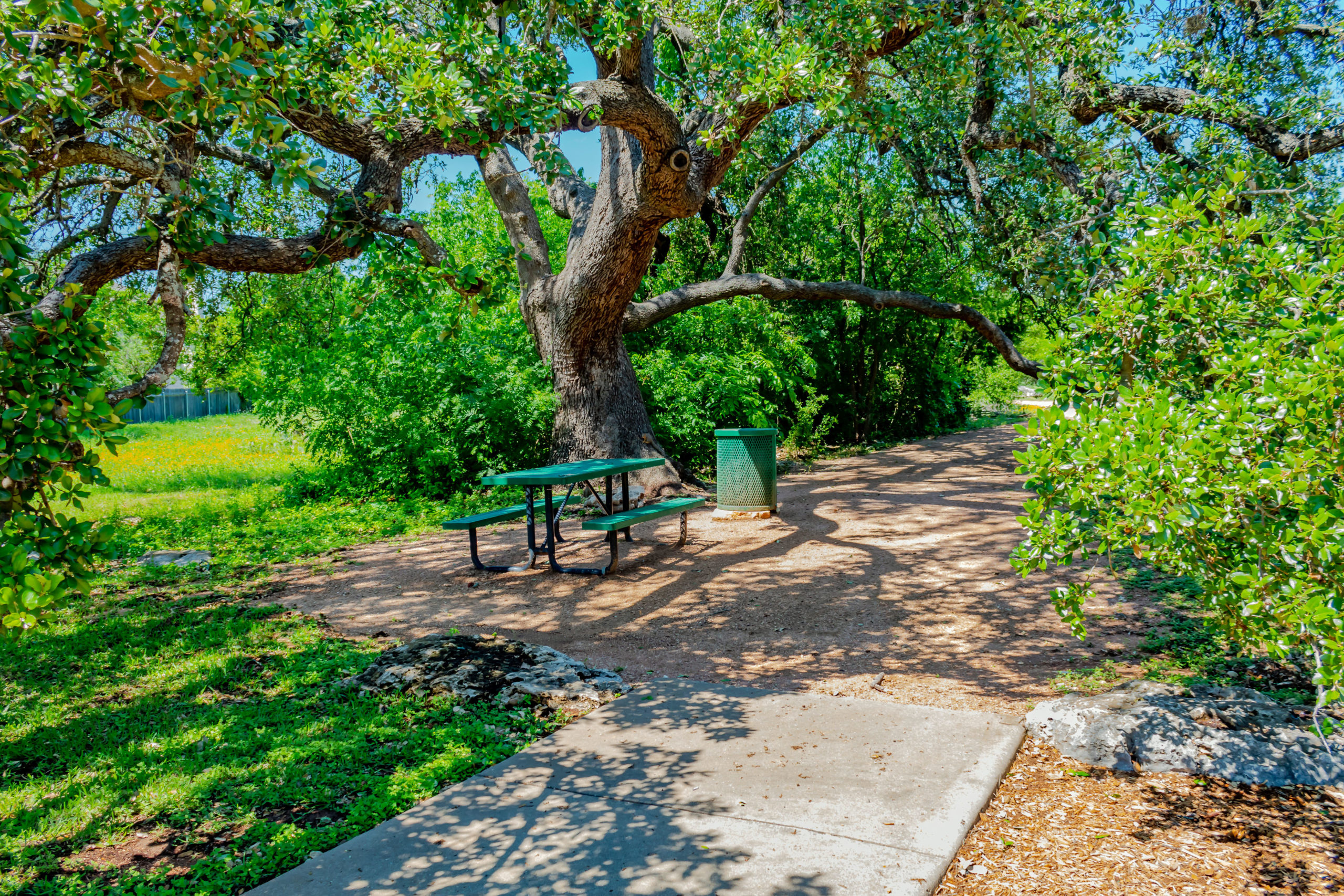 Picture of a large tree shading a picnic table.